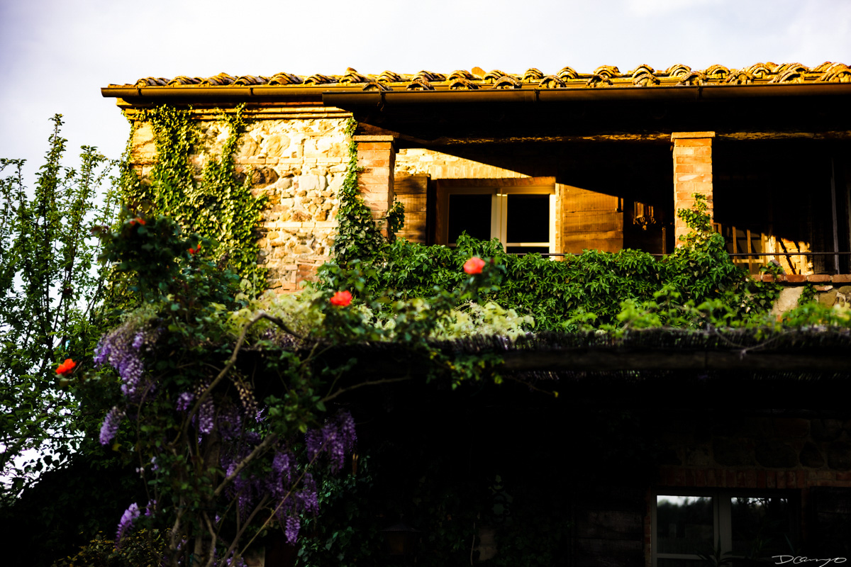 Photos from Rome, Venice, Florence, Tuscany, Manarola, Vernazza, Riomaggiore, Verona, Trento, and the Italian Alps in Spring of 2022.